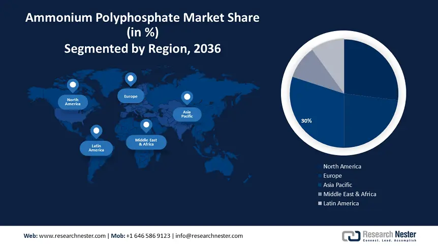 Ammonium Polyphosphate Market size